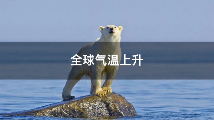 螞蟻商聯(lián)攜手金好來超市發(fā)起“以竹代木，翠我山河”植樹節(jié)活動，從改變生活習慣開始！喊你為公益接力~
